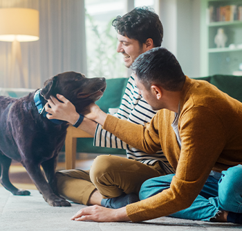 two men and their dog