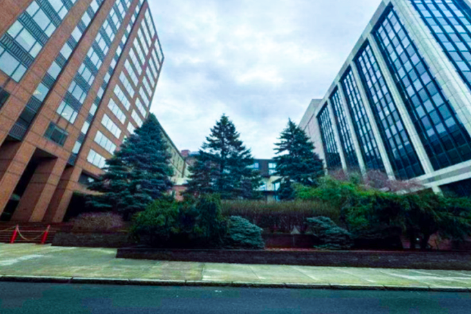 Commercial buildings with trees in the middle.